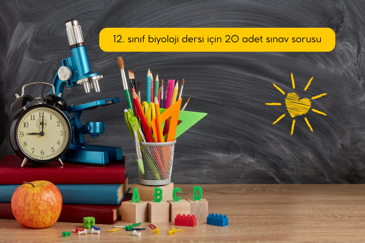 12 sinif biyoloji dersi icin gorsel banner hazirlarmisin